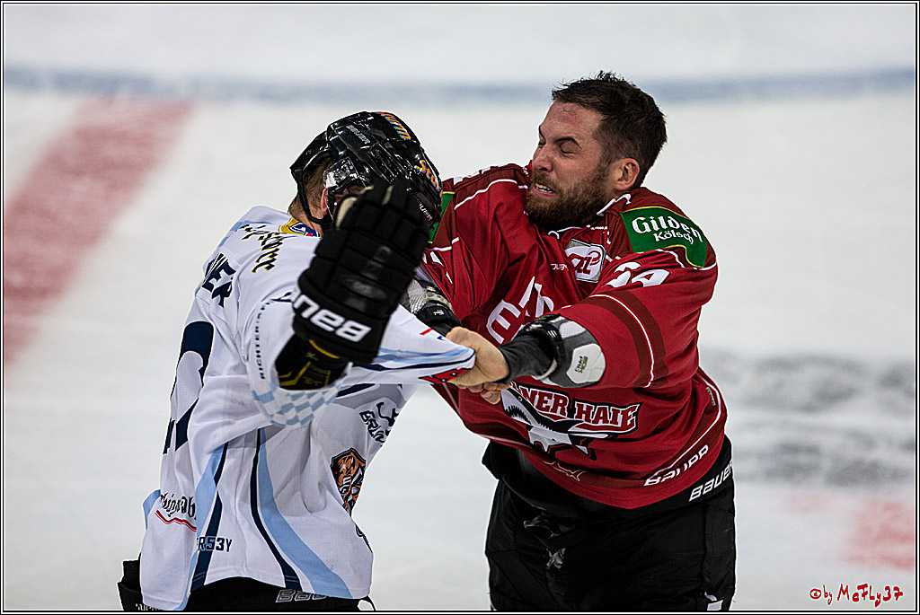 Koelner Haie - Straubing Tigers, 03.10.2016